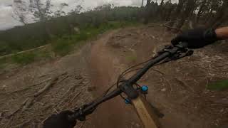 Sintra MTB - Monge, Trilho do Avô