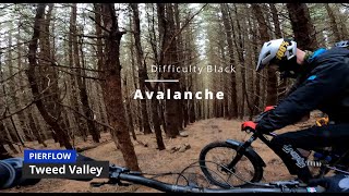 Avalanche | LOOSES TRAIL IN THE GOLFIE