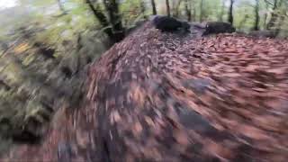 Stovano dh