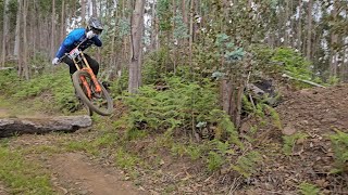 BLACKLINE DH 2024 Qualifying Run || Madeira MTB