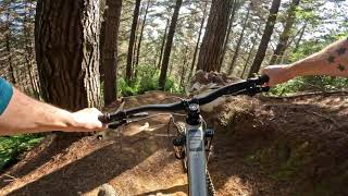 Gum Diggers @ 440 MTB Park
