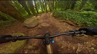 Sintra MTB - Monge, Trilho do Avô