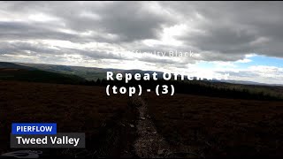 Repeat Offender (top) - (3) | GOLFIE CLASSIC