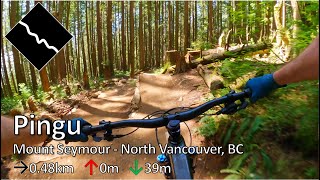 Pingu - Mount Seymour - North Vancouver, BC