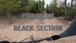 Padawan Black