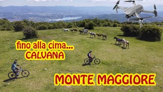 fino alla cima della CALVANA in MTB (col...
