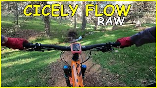 Cicely ✔️​ Lo nuevo de El Escorial |...
