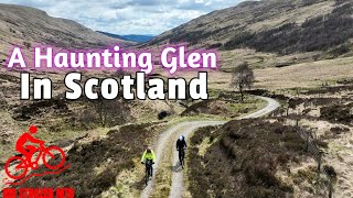 Riding the Wild: Mountain Biking Adventure in...