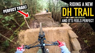 YOU MUST SEE HOW PERFECT THIS NEW DOWNHILL...