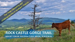 Rock Castle Gorge Trail | Interesting Yet...
