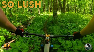 SO LUSH, MTB May 19/24