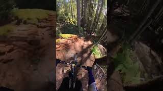 Part two of this sweet Squamish Single Track...