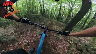 Premijerno Deep Forest - MTB Evolution