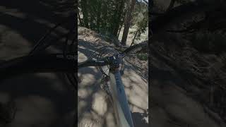 Rock Drops Quick Draw Snow Valley Bike Park 2024
