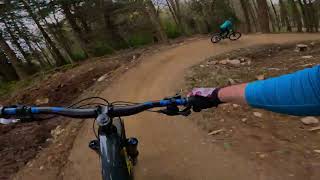 Dee-Send, Banchory Woodland Trails