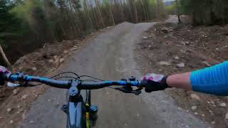 Dee-Line, Banchory Woodland Trails