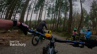 Dee-Lite, Banchory Woodland Trails