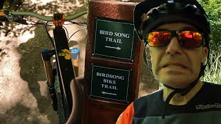 Birdsong DH in Ogden
