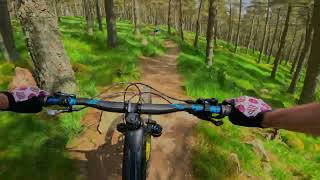 Crowd Surfin', Tarland Trails 2