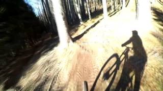 Ostrý Downhill