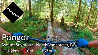 Pangor - Mount Seymour - North Vancouver, BC