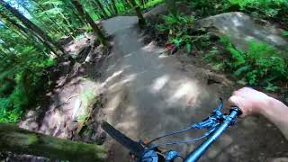 **Updated** Big Tree - Duthie Hill Mountain...
