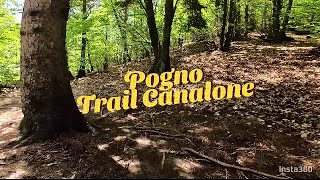 Trail Canalone - Pogno (NO)
