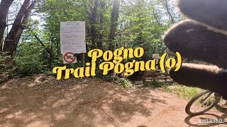 Trail Pogna (o) - Pogno (NO)