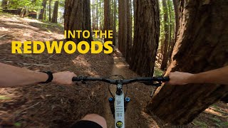 Camp Tamarancho Loop, Fairfax, California