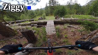 Deja Vu | Ziggy - Coutlee Plateau