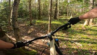 Down To Lower - Carmichael Trails