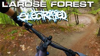LAROSE FOREST//2024//LIMOGE ONT.// a spirited...