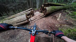 Flow Is Earned Not Given on This Trail