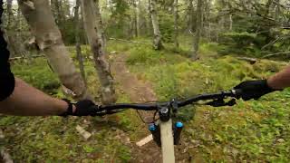 Old Flow - Carmichael Trails