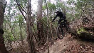 Cornish track is gnarly