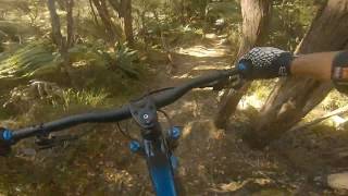 Canyon Torque on Peaking Ridge - Nelson