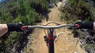 Te Huinga trail Whakarewarewa Forest Rotorua...