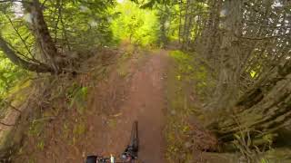 Project 9, Fernie