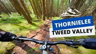 Thornielee, Valley Steeeps