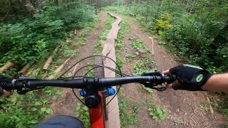 Searching for Skinnies & Rock Gardens, I...