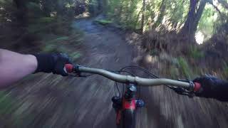 Billy T: Whakarewarewa Forest Rotorua 8/9/18