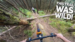 WE FINALLY FOUND THESE SECRET TRAILS AND THEY...