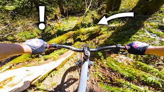 Full Pull down the Whole Mountain until a Tree...