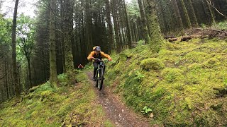 MTB Enduro/Trail 2k24 - Wales - Trailcenter...