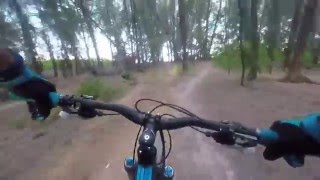 Virginia Key Mountain Bike trail 'Freebird'