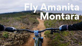 WHAT TO EXPECT On FLY AMANITA & NEDS DH: ...