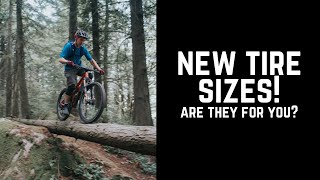 New WTB 2.6 tires- first look!