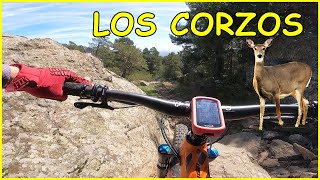Los Corzos ​ La mejor de El Escorial -...