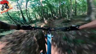 Deep Forest trail - Bike park Evolution