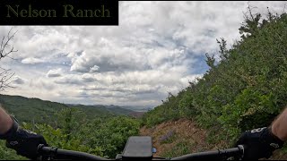 Ringtail - Half Hour Blue Flow Descent -...